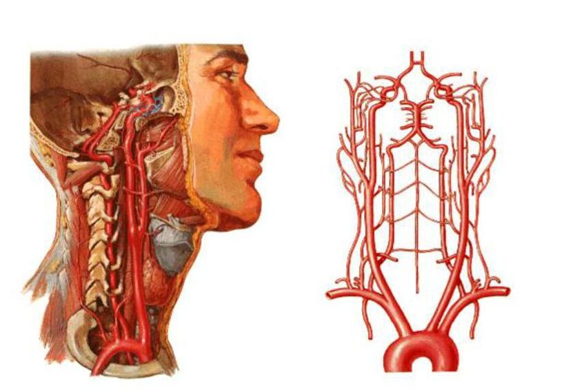 Πώς αναπτύσσεται η οστεοχονδρωσία;